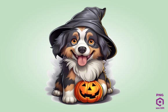 Trick or Treat Australian Shepherd Dog Review
